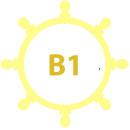 timon-b1