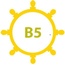 timon-b5