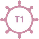 timon-t1