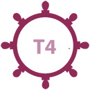 timon-t4