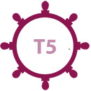 timon-t5